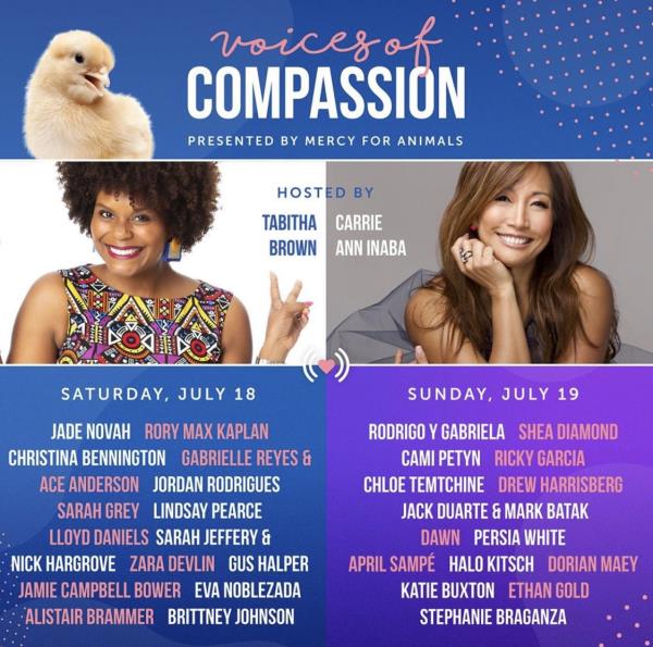 今天，7月18日星期六和7月19日星期日，加入慈悲动物协会参加他们的第二场“同情之声”虚拟音乐会